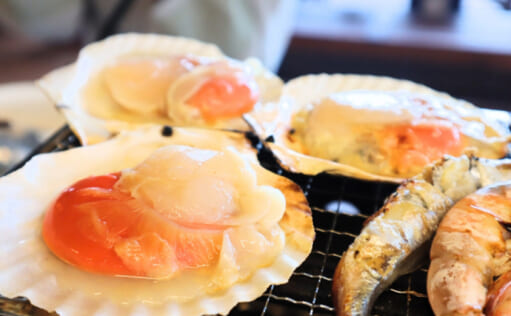 ホタテの身は全ての部位が食べられるワケではない 非可食部は「ウロ」 TSURINEWS