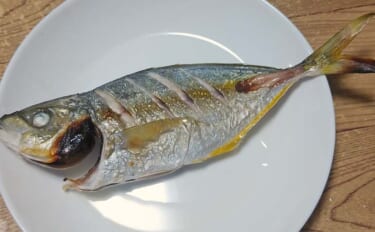 釣魚で作る「おつまみ」レシピ：シマアジのグリル焼き　高級魚を贅沢に塩焼きに