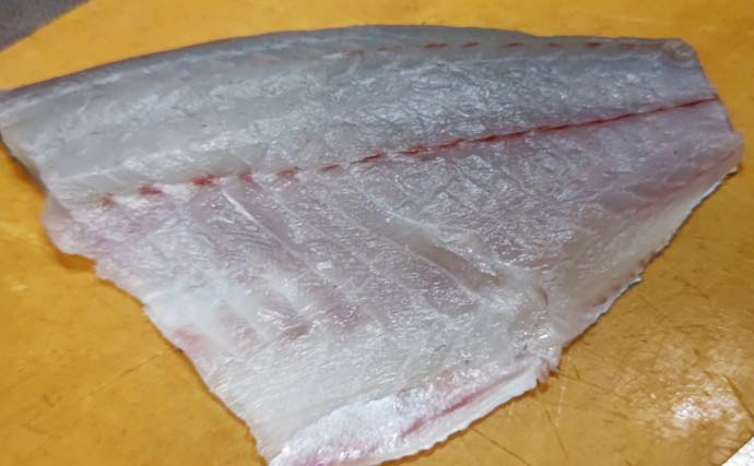 釣ったクロダイで作る鯛めし『チヌ飯』レシピ　食味は厳寒期の個体が最高