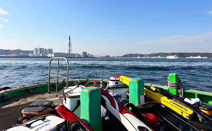 東京湾のフカセ釣りで40cm級クロダイにメジナ手中【神奈川・アシカ島】