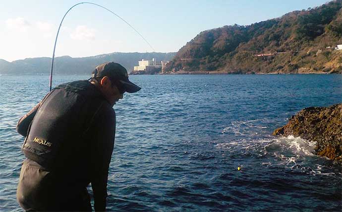 磯フカセ釣りで本命不発も50cm頭にブダイが連発【静岡・熱海】海苔エサにヒット