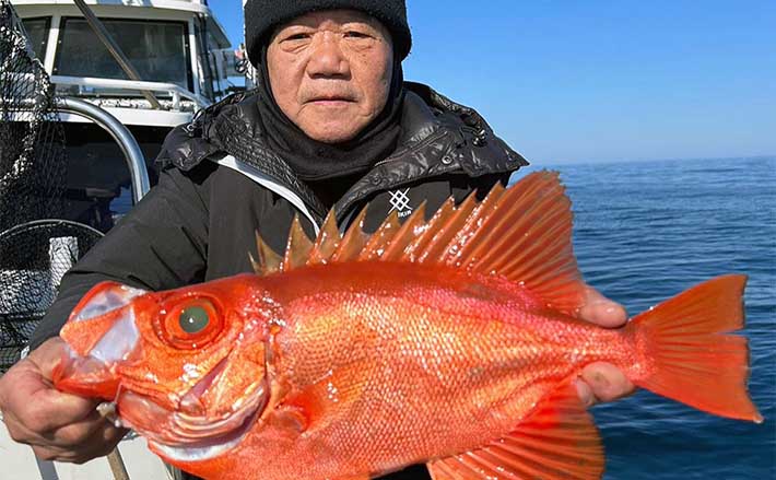 泳がせや沖五目釣りで多彩釣果続々【福岡】船のエサ釣り最新釣果 | TSURINEWS