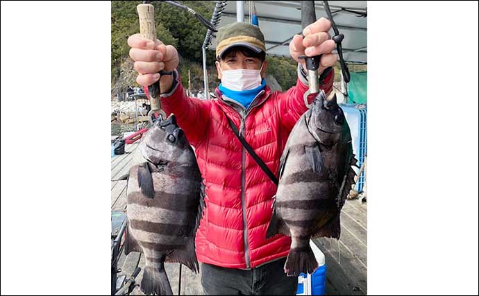 海上釣り堀釣果速報【三重・愛知】ファミリーフィッシングでも高級魚ゲット