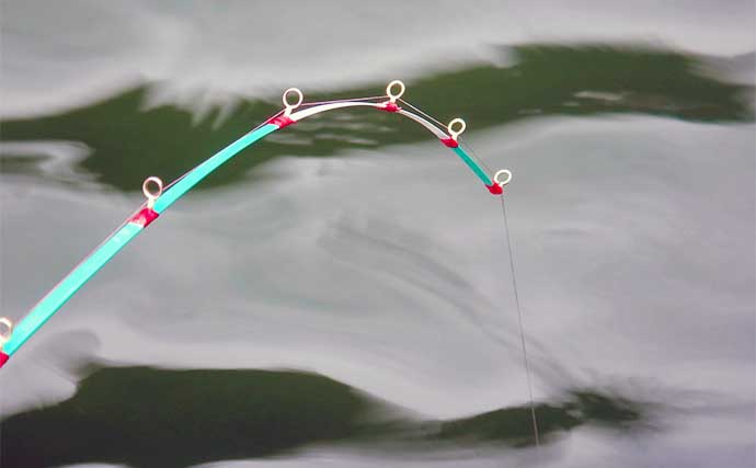今季ラストの津久井湖ボートワカサギ釣りで1014尾3150gと好釣果【沼本ボート】