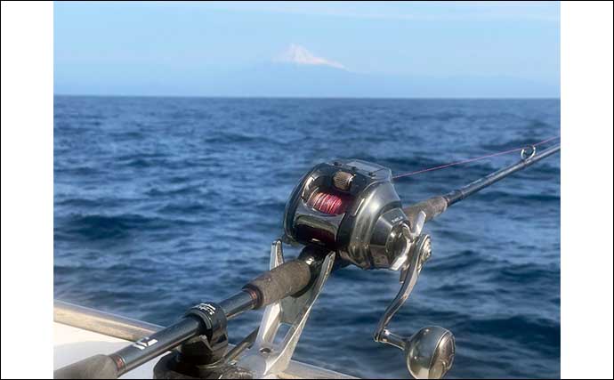 石花海の絶品『鬼カサゴ』釣りは魅力満載【とびしま丸】エサと仕掛けの調整を楽しもう