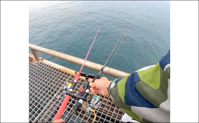 堤防釣りでウミタナゴにメバルとご対面【愛知】サビキ釣りとウキ釣りで挑戦