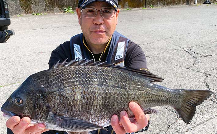 沖磯フカセ釣りで55cm大型チヌ浮上【三重・尾鷲】本命グレは小型のみ | TSURINEWS