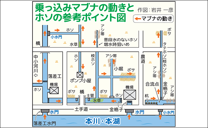 春の乗っ込みマブナ（ギンブナ）釣り解説 【仕掛け・エサ・ポイント選び方・釣り方】