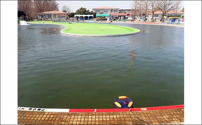 プールでのテンカラ釣りでニジマスが連発【埼玉・加須はなさき水上公園】