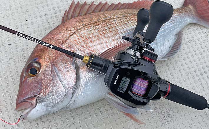 東京湾タイラバ釣行で2kg超マダイ4尾キャッチ 強波動での深場狙いが的