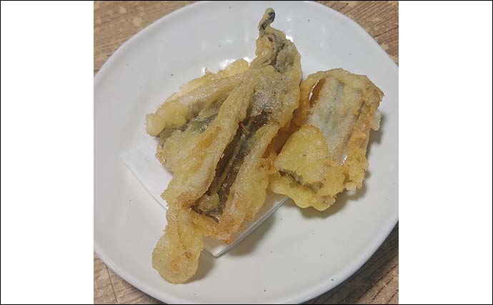 釣ったアナゴで作る「アレンジ天ぷら」レシピ　カレー風味で食欲アップ