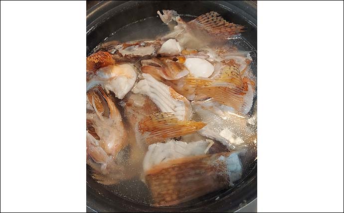 釣り人的「食品ロス削減」レシピ：カサゴを無駄なく＆美味しく味わう料理4選