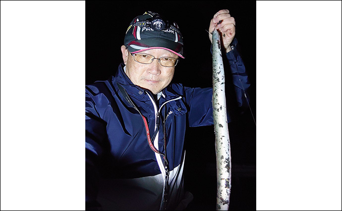 夜のブッコミ釣りで良型ウナギ2尾をキャッチ【愛知県・筏川】ウナギシーズン開幕