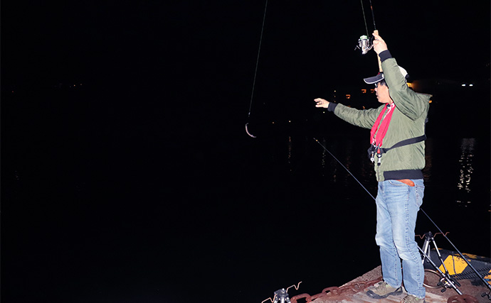 夜の堤防で手軽に狙う【投げアナゴ釣り】　シーズン・仕掛け・ポイント選び・釣り方を解説
