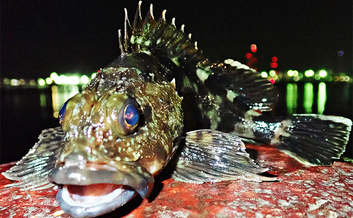 06895cf08b16adb4f4e58cb926a5e8