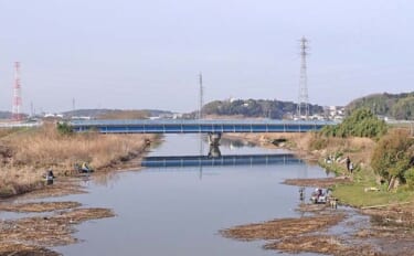 乗っ込みマブナおすすめ釣り場：千葉・大津川　下流周辺のホソを紹介