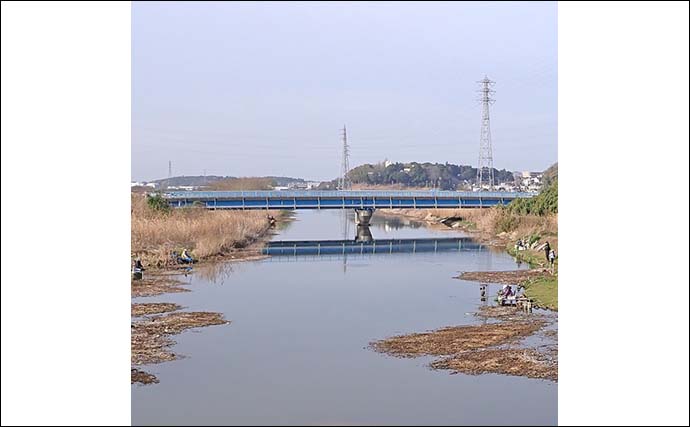 乗っ込みマブナおすすめ釣り場：千葉・大津川　下流周辺のホソを紹介