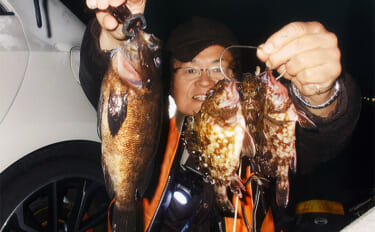 夜のウキ釣りで27cm大型メバルをキャッチ【三重・四日市】アオイソメに…