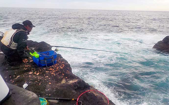 城ヶ島での磯フカセ釣りで乗っ込み最盛期のメジナ7尾【神奈川】40cm級が中心