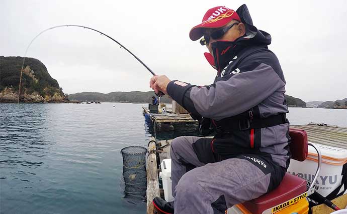 イカダ・カカリ釣りで49cm頭に乗っ込みの良型クロダイ13匹【三重・やま栄渡船】
