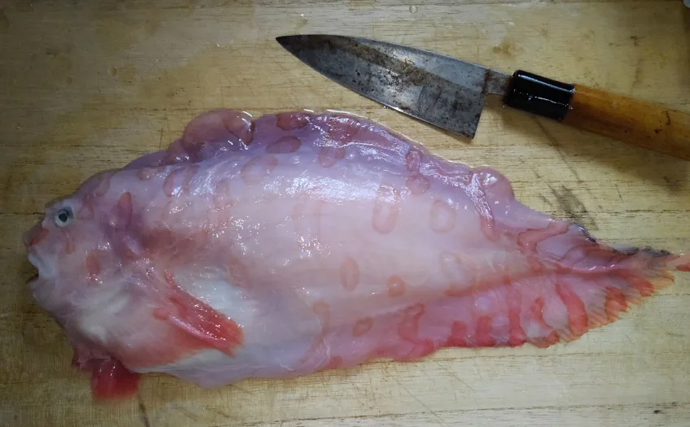 【ギネス最深記録8336m】を記録した深海魚「クサウオ」とはどんな魚か