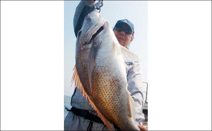 【釣果速報】タイラバで2〜3kg乗っ込みマダイが船中60尾とフィーバー（福岡）