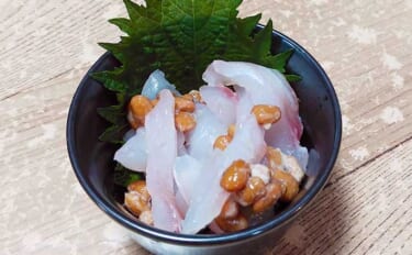 釣魚で作る「ご飯のお供」レシピ：アラカブの納豆和え　シンプルで美味い