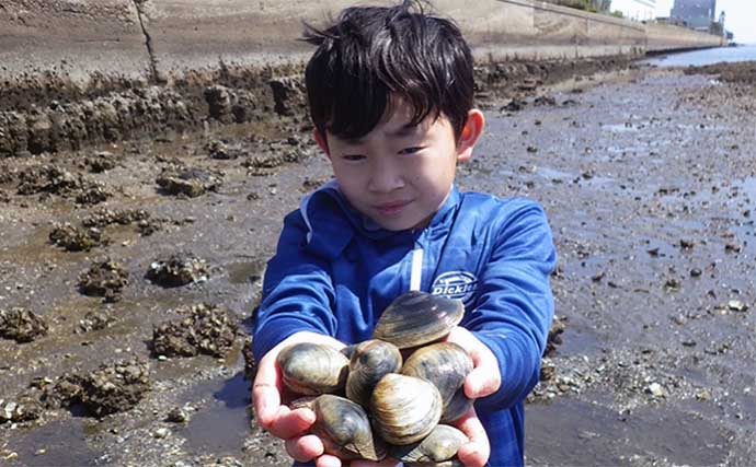 江戸川河口での潮干狩りでホンビノス貝が大漁【東京】「広く浅く」がポイント？