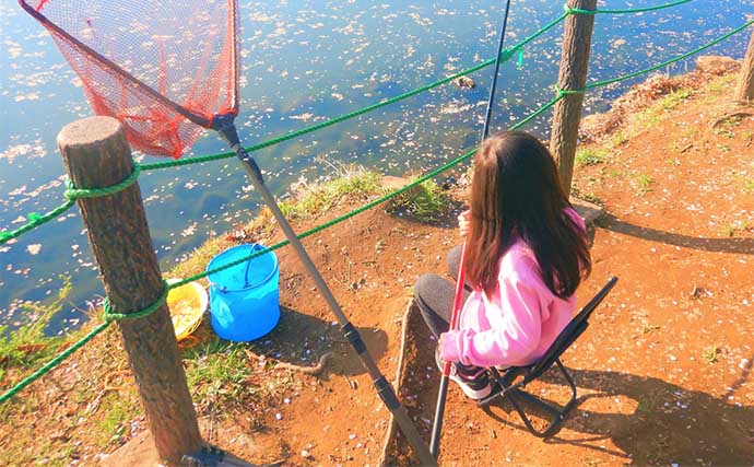公園の池で61cm良型コイを手中【埼玉・鶴ヶ島運動公園】のべ竿パンコイ釣りで挑戦