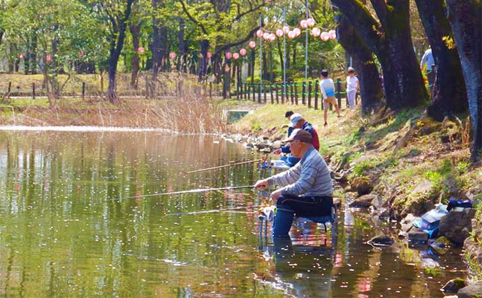 公園の池で61cm良型コイを手中【埼玉・鶴ヶ島運動公園】のべ竿パンコイ釣りで挑戦