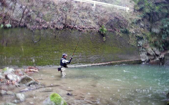 解禁日の渓流エサ釣りで28cm頭にアマゴ40匹オーバー【三重・坂本川】