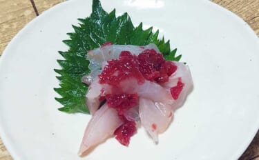 釣った魚で作る「日本酒のお供」レシピ：スズキの梅和え　ワサビが隠し味