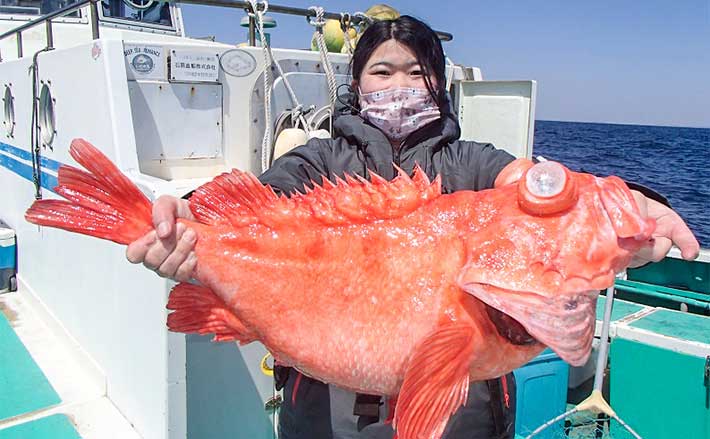 相模湾の深場釣りで4.3kg頭にアコウダイ好ヒット イカ短やタコベイト
