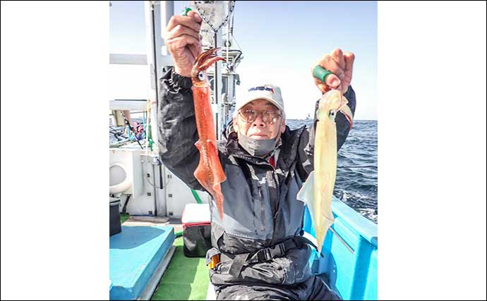 浅場のヤリイカ釣りで52cm頭に良型ばかりトップ37尾【茨城】水深60m前後で連発