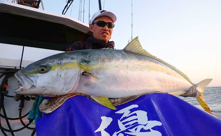 玄界灘のケンサキイカ7杯（2023年5月28日の釣果） - 魚介類