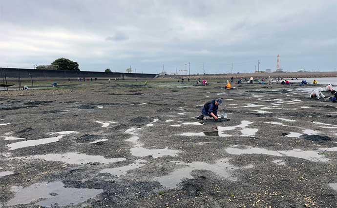 小中山海岸の潮干狩りで大型アサリがザックザク【愛知】浅場を広く掘り起こす作戦的中