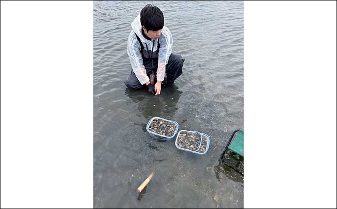 小中山海岸の潮干狩りで大型アサリがザックザク【愛知】浅場を広く掘り起こす作戦的中