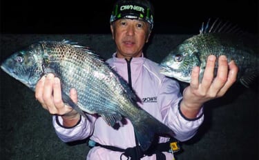 夜の堤防釣りで50cm級大型チヌ2尾【熊本・宇城】電気ウキ&虫エサで手…