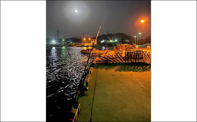 夜の釣り場では「ライトで水面を照らしてはダメ」　理由と魚種毎の影響とは？