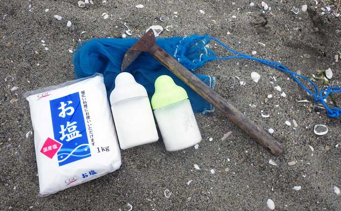 1時間の潮干狩りでマテガイ88匹ゲット【神奈川・海の公園】数採るコツと注意点も解説