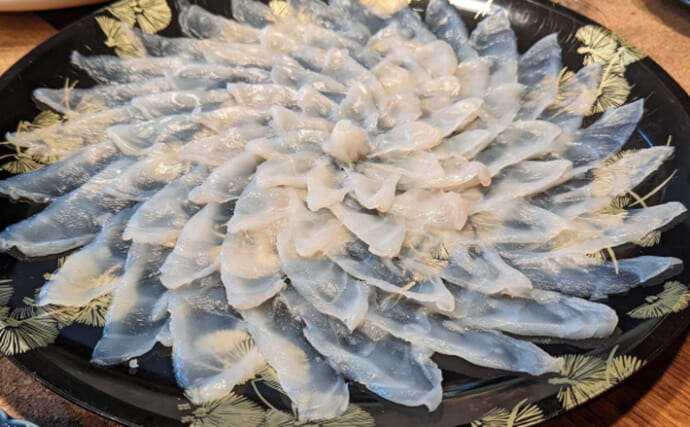「夏のふぐ」と呼ばれる魚たち　関東ではマゴチで関西ではハタ類が代表格