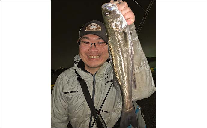 夜の堤防ライトゲーム釣行でメバルにシーバスにデカハゼと魚種多彩【三重・四日市】