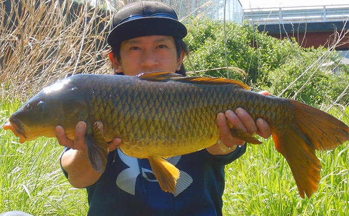 鯉釣り 鯉竿 要補修 鯉釣り 鯉竿 要補修