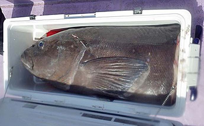 深海釣りで70kg級巨大『アブラボウズ』浮上【北茨城・第十五隆栄丸】ゲストにメヌケも