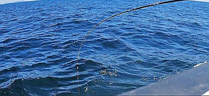 水深100m浅場で45cm頭にまさかの良型アカムツ3匹【相模湾】コマセ釣りで手中