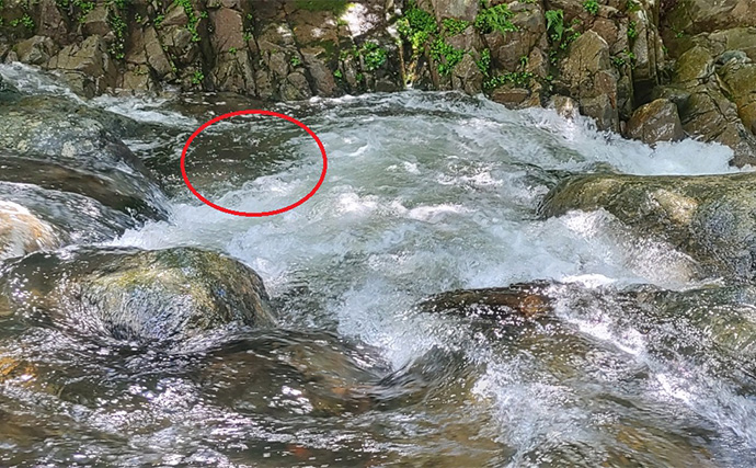 渓流エサ釣りにおける河川増水時の攻略法【狙うポイント・エサ・釣り方を解説】