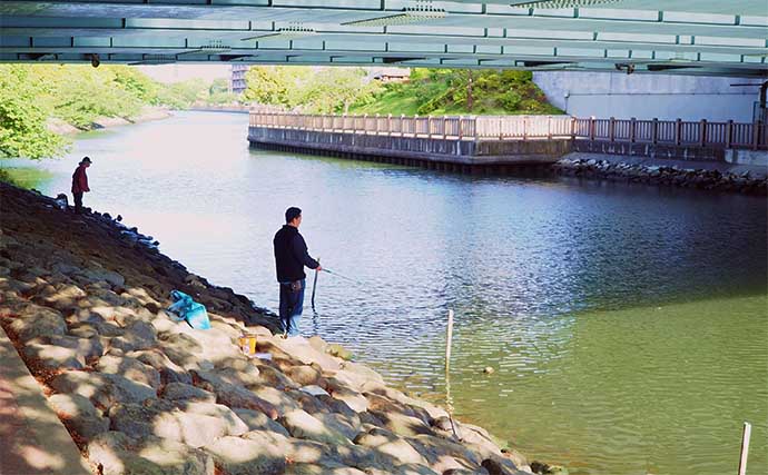 都内有数のテナガエビ好釣り場：新左近川親水公園　詳細ポイントを紹介
