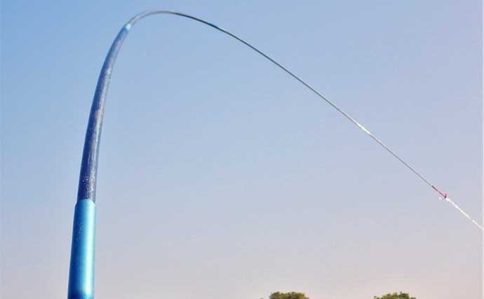 公園と河川の「ノベザオコイ釣り」ダブルヘッダーで快釣　両場所で80cmオーバーをキャッチ