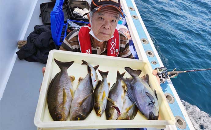 大山沖イサキ釣りシーズンが開幕【愛知・忠栄丸】イシダイやワラサ混じりで好釣果
