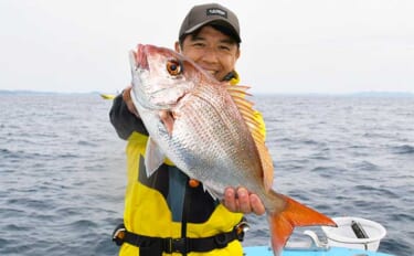 乗っ込みシーズン迎えた東京湾コマセマダイ釣行でトップ本命６枚【一之瀬丸…